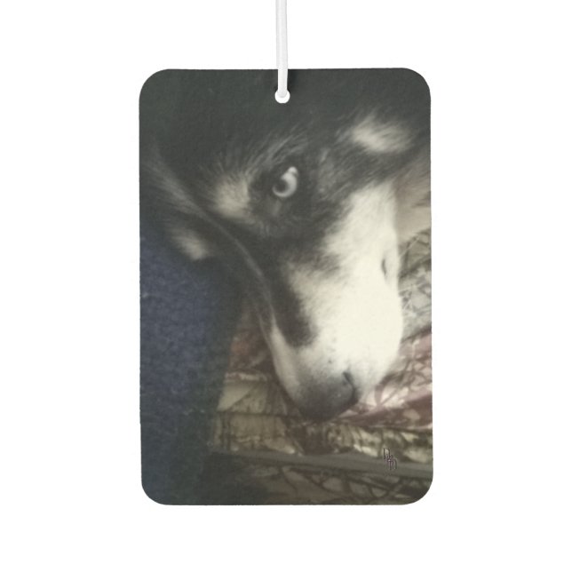 Sleepy Dog Car Air Freshener (Front)