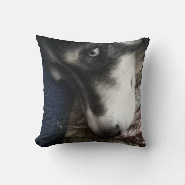 Sleepy Dog Cushion (Front)