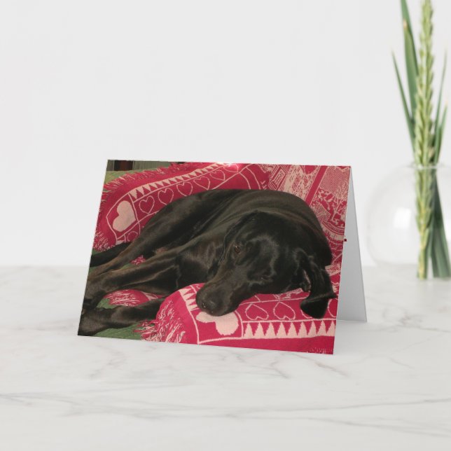 Sleepy Dog "I'm Sorry" Greeting Card (Front)