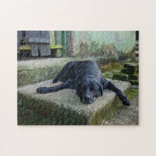 Sleepy Dog Jigsaw Puzzle