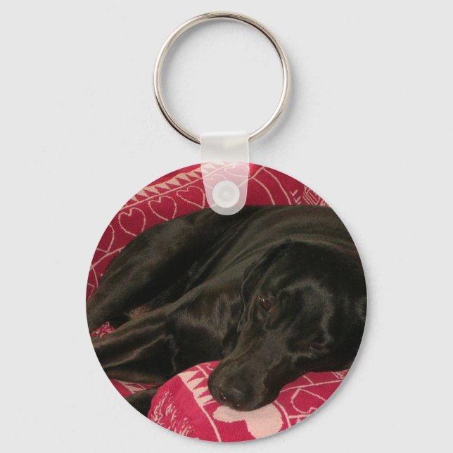 Sleepy Dog Keychain (Front)