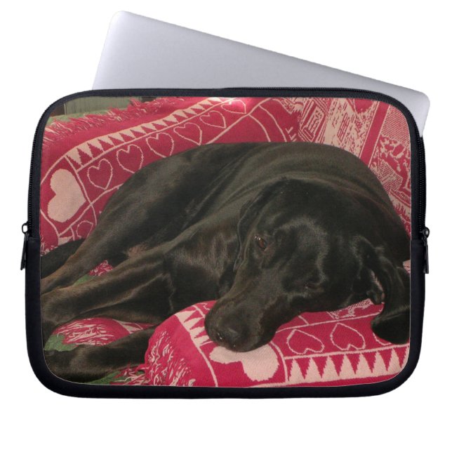Sleepy Dog Laptop Sleeve (Front)