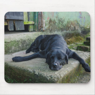 Sleepy Dog Mouse Pad