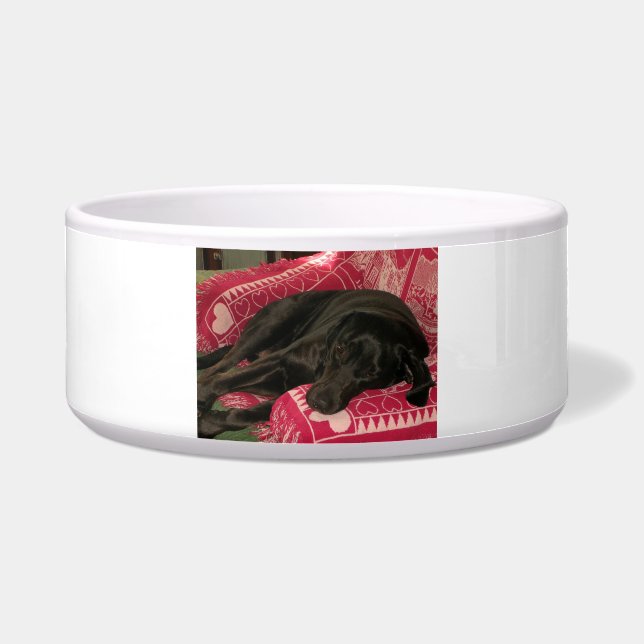 Sleepy Dog Pet Bowl (Front)