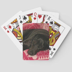 Sleepy Dog Playing Cards