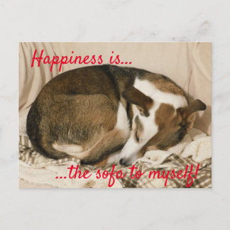 Sleepy Dog Postcard