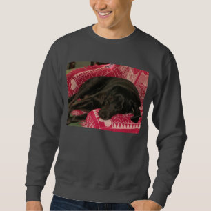 Sleepy Dog Shirts