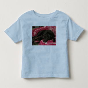 Sleepy Dog Toddlers Ringer T-Shirt
