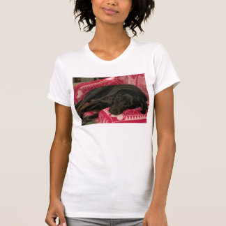 Sleepy Dog Womens Casual Scoop T-Shirt