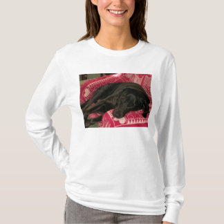Sleepy Dog Womens Hooded Sweatshirt T-Shirt