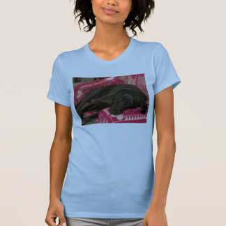 Sleepy Dog Womens Tank Top