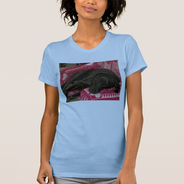 Sleepy Dog Womens Tank Top (Front)