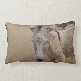 Sleepy Donkey Lumbar Cushion
