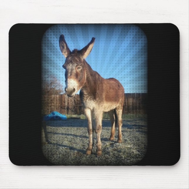 Sleepy Donkey Mouse Pad (Front)