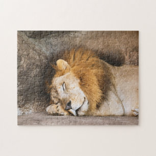 Sleepy Dreaming Adult Lion on Rocks Jigsaw Puzzle