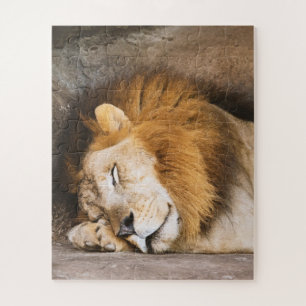 Sleepy Dreaming Adult Lion on Rocks Jigsaw Puzzle