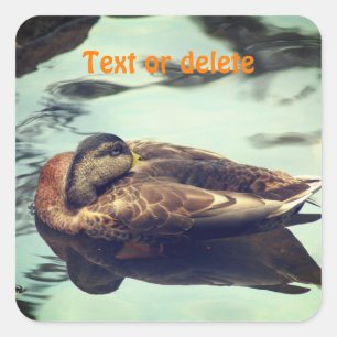 Sleepy Duck Personalised Nature  Square Sticker