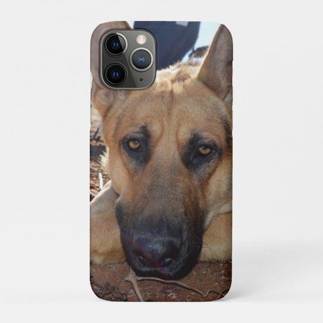 Sleepy Entilment: Young Alsatian Shepherd Dog, Case-Mate iPhone Case (Back)