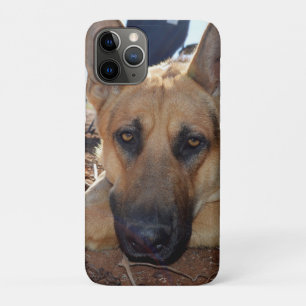 Sleepy Eyes: Young Alsatian Shepherd Dog, Case-Mate iPhone Case