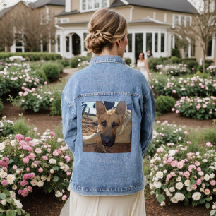 Sleepy Eyes: Young Alsatian Shepherd Dog, Denim Jacket