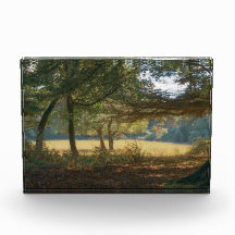 Sleepy Fields