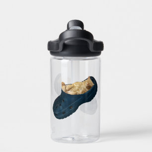 Sleepy Fluffy Kitten Sleeping In Croc Shoe, Water Bottle