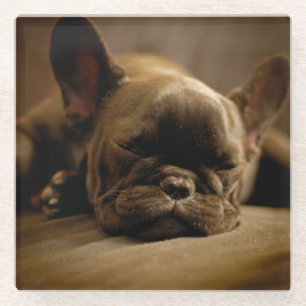 Sleepy French Bulldog Glass Coaster