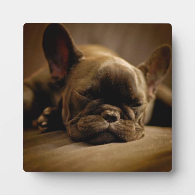 Sleepy French Bulldog Plaque (Front)
