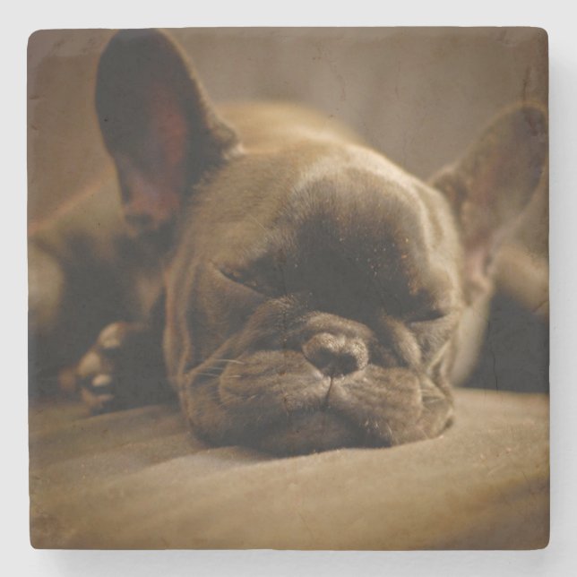 Sleepy French Bulldog Stone Coaster (Front)