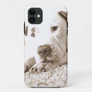 sleepy friendly white pitbull hate deed not breed Case-Mate iPhone case
