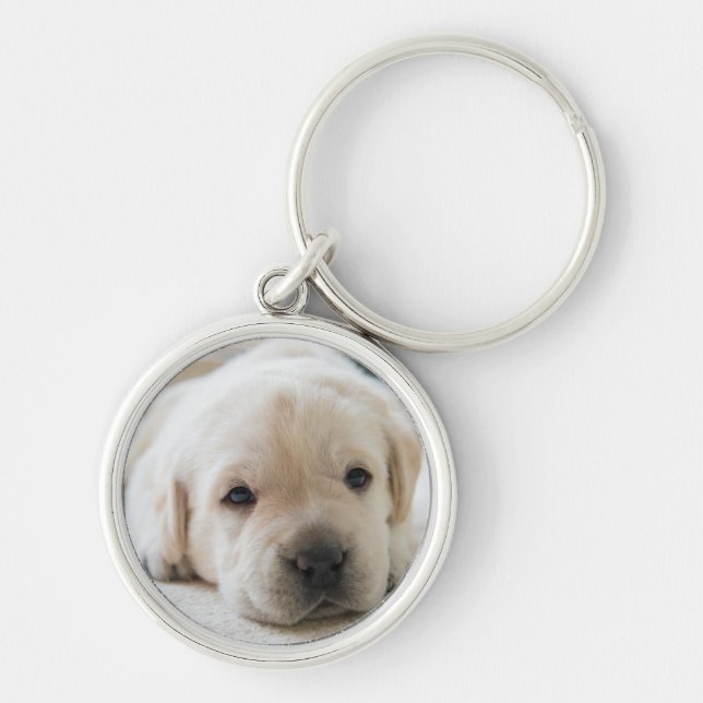 Sleepy Golden Labrador Puppy Key Ring (Front)