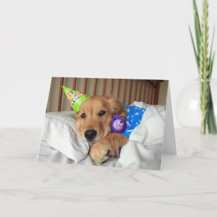 Sleepy Golden Retriever in Pyjamas Birthday Card