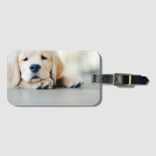 Sleepy Golden Retriever Puppy Luggage Tag