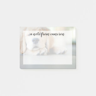 Sleepy Golden Retriever Puppy Post-it Notes