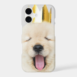 Sleepy Golden Retriver Puppy in Gold Crown