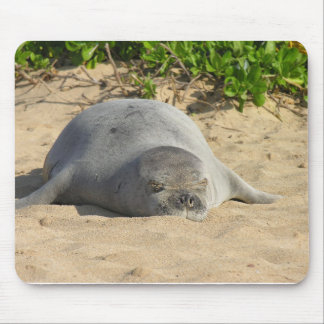 Sleepy Hawaiian Monk Seal Mouse Pad