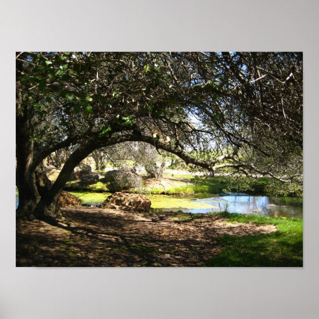 "Sleepy Hollow" Poster (Front)