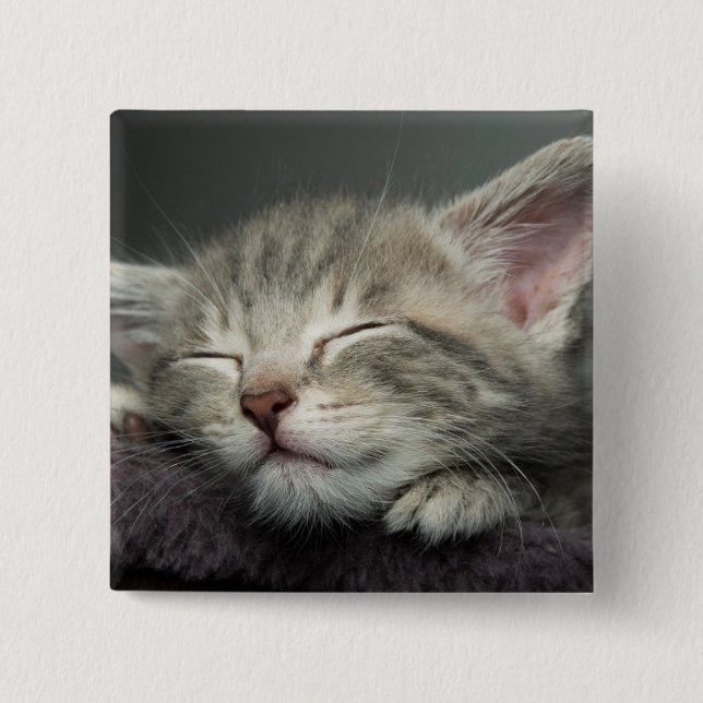 Sleepy Kitten 15 Cm Square Badge (Front)