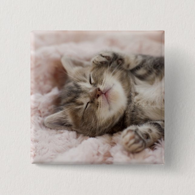 Sleepy Kitten 15 Cm Square Badge (Front)