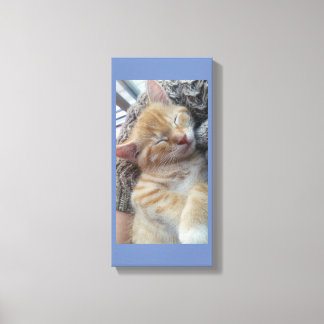 sleepy kitten canvas print