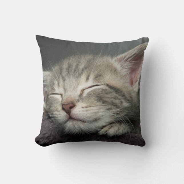 Sleepy Kitten Cushion (Front)