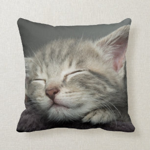 Sleepy Kitten Cushion