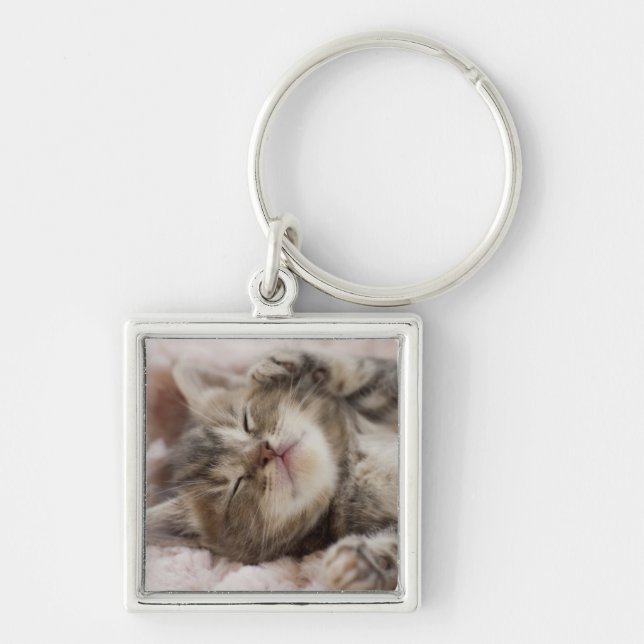 Sleepy Kitten Key Ring (Front)