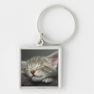 Sleepy Kitten Key Ring