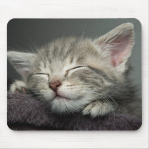 Sleepy Kitten Mouse Pad
