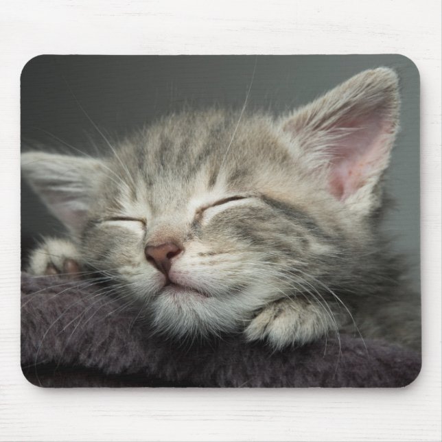 Sleepy Kitten Mouse Pad (Front)