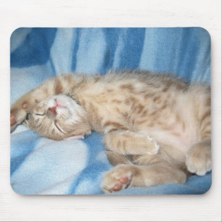 Sleepy Kitten Mousepad