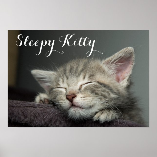 Sleepy Kitten Poster (Front)