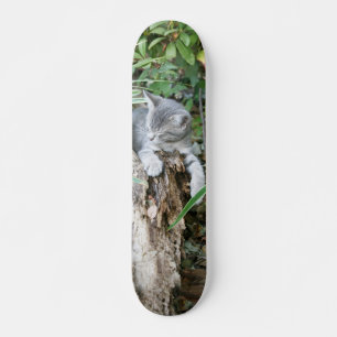 Sleepy kitten skateboard
