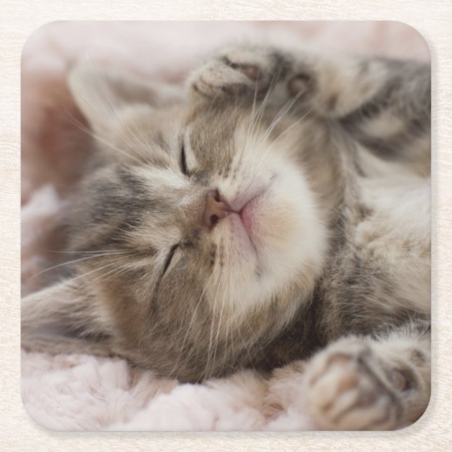 Sleepy Kitten Square Paper Coaster (Front)